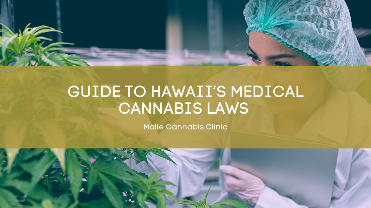 Guide%20to%20Hawaii%E2%80%99s%20Medical%20Cannabis%20Laws